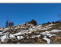 Mont Lozère, étape du Chemin de Stevenson 
