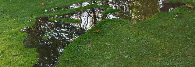 FIAC 2014 Jardin des Tuileries : "La Traversée" de Jean Denant