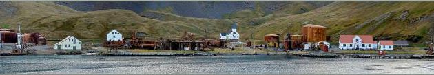 Retour sur le bateau, dernières photos de King Edward Cove avec Grytviken et son cimetière - Géorgie du Sud 