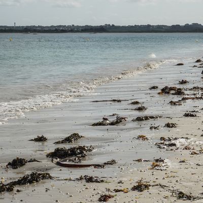 29 ... (et plus) : Brignogan, c'est pas du gnan-gnan ! (2/3)