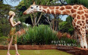 mode fashion bazaar alana zimmer liz collins