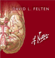 NETTER. FLASHCARDS DE NEUROCIENCIA leer epub gratis