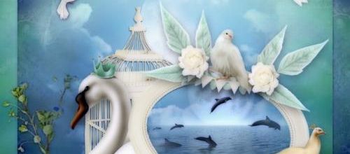  Le cygne .