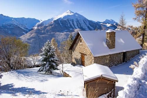Beauté hivernal