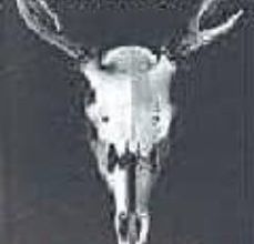 Descarga gratuita de libros epub STAG HUNT en español 9780340830468