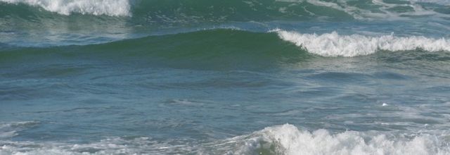 Une balade à ST GIRONS PLAGE (40), le 19 janvier (suite)....