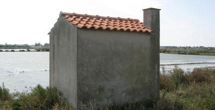 Les formes du travail IV