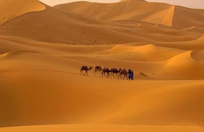 Eternelle Egypte...
