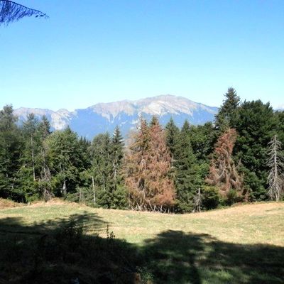 RANDONNEE DU SENTIER DES POINTIERES (Savoie - 73)
