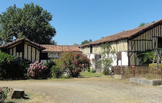 Compostelle, 3 août de Nogaro à la Grange Dubarry, 2ème partie