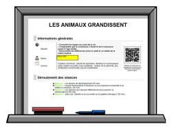 LES ANIMAUX GRANDISSENT