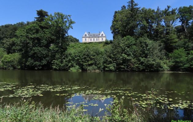 défi reflets d'Annie