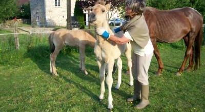 .......... Pye Marlot et les penseurs anonymes