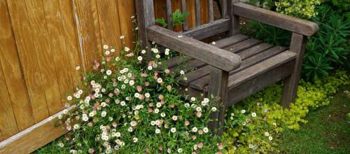 Adieu au Jardinier des Roses
