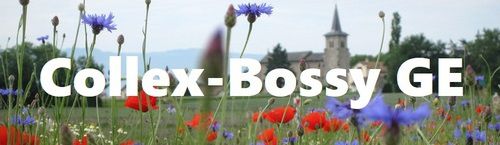 2e salon agora Collex-Bossy GE - 6 et 7 juin 2020