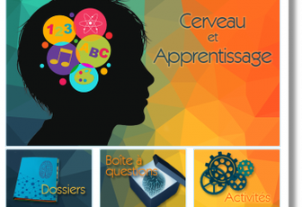CERVEAU ET APPRENTISSAGE