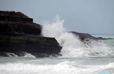 une vague à Anglet (64)