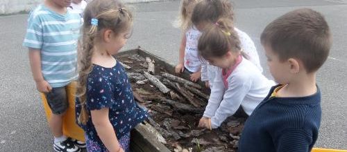 MS : Atelier jardinage 