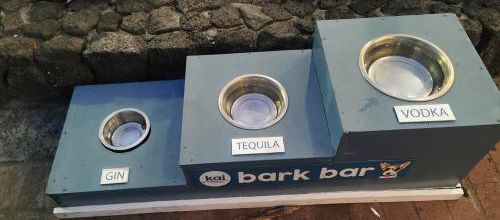 Bar à chiens à Kona (Grande ile à Hawaii)