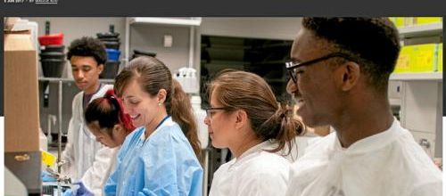 Une espèce en voie de disparition universitaire