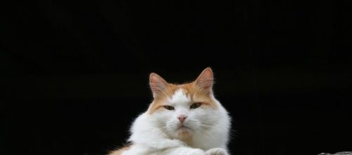 Pour être tranquille ...