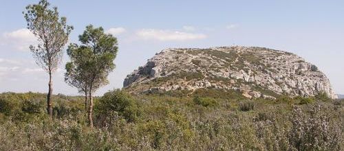L’été dans les collines…