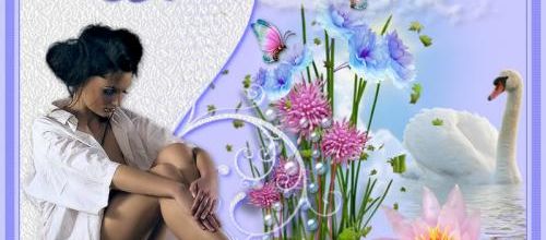  Fleur bleue .