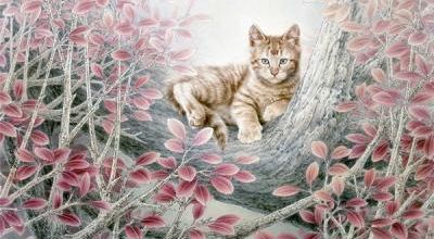 Gribouille au sommet de l'arbre à chats