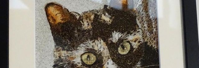Dimanche c'est chat