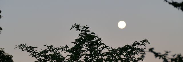 Pleine lune