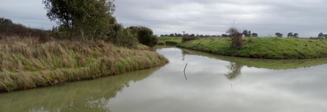 Balade dans le marais de Millac  2022 