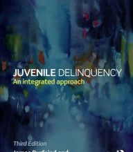 Free books download audible Juvenile Delinquency: An integrated approach 9781138843202