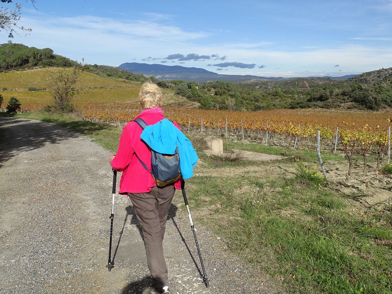 Le Circuit des Combes au départ d'Estagel