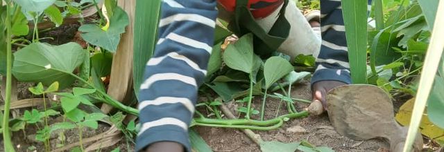  Newsletter – Septembre 2025