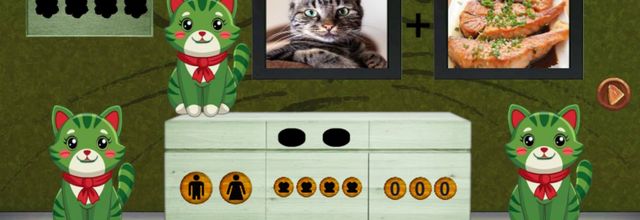 8B Find the curious freaky cat soluce