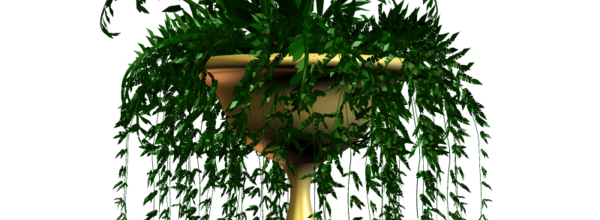 ѼVegetation
