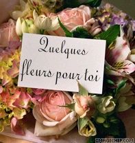 Fleurs de patate !...