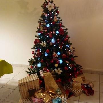 Noël 2016 Chez Notre fille