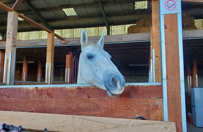 Le 18 septembre 2025 : la prison