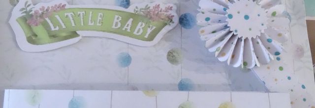 Maxi album de naissance : la suite et fin.