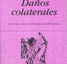 DAÑOS COLATERALES (XVI PREMIO CIUDAD DE CORDOBA RICARDO MOLINA) ePub gratis