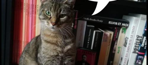 Félix en a marre des histoires à dormir debout !