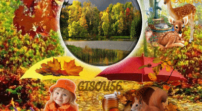 CADRE AUX COULEURS D AUTOMNE