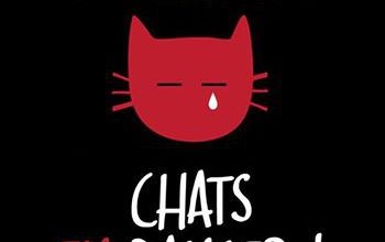 Au secours chats en danger !