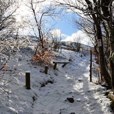 L'Alsace en février