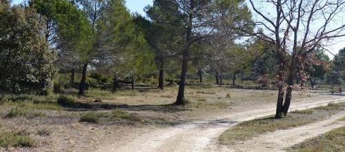 La Fontaine de Doudonne (Saint Cannat)