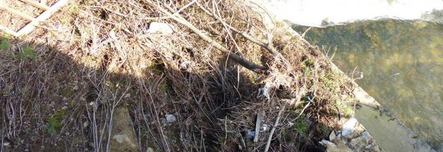 Photos des déchets pour la commune