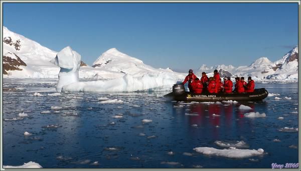 Iceberg à forme animale, une véritable curiosité de la nature - Skontorp Cove - Paradise Bay - Péninsule Antarctique