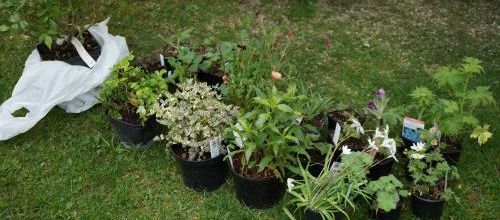 St Jean de Beauregard : mes trouvailles