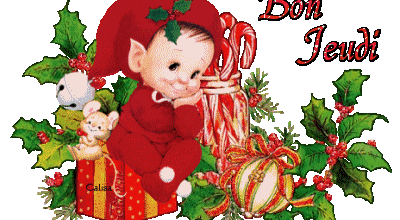 de jolies plantes de Noel